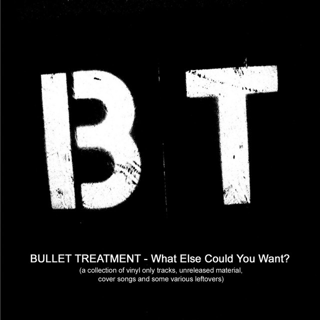 What Else Could You Want? album cover