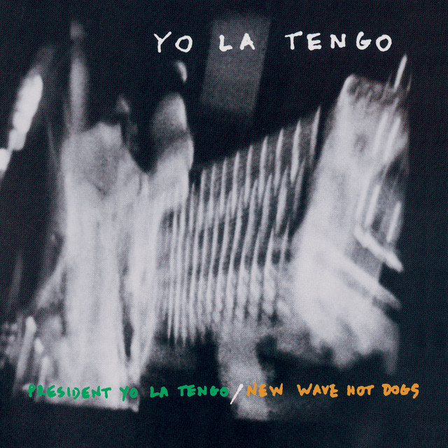 President Yo La Tengo / New Wave Hot Dogs album cover