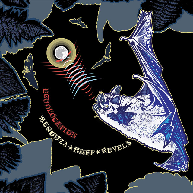 Echolocation album cover