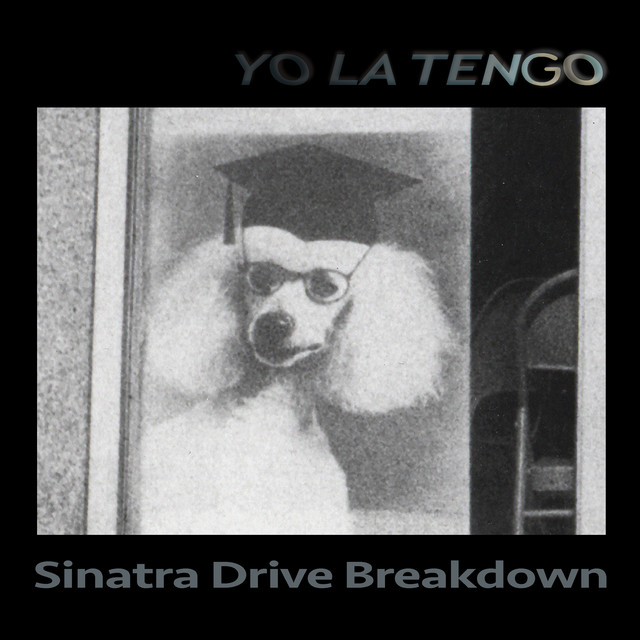 Danelectro '59 DC 12-String Semi-Hollow as heard on Sinatra Drive Breakdown by Yo La Tengo (2023)
