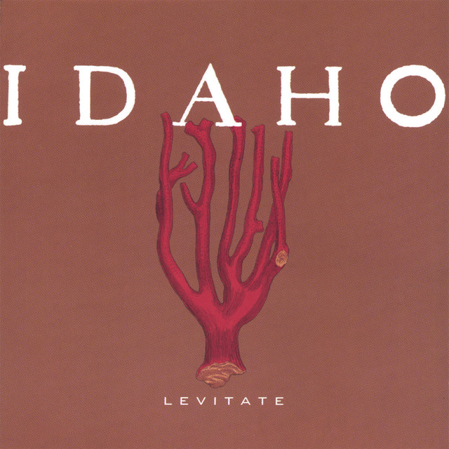 Levitate album cover