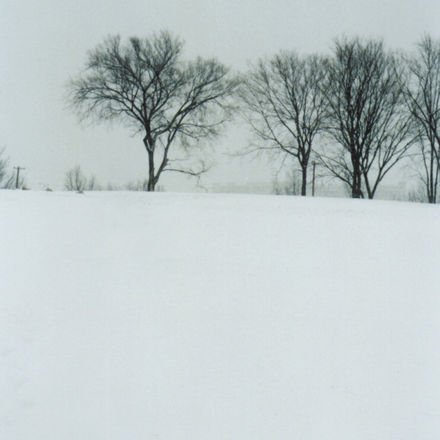Leisure & Other Songs album cover