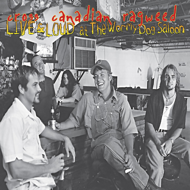 Live & Loud At The Wormy Dog Saloon album cover