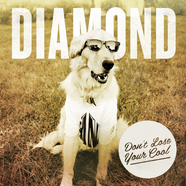 Don't Lose Your Cool album cover