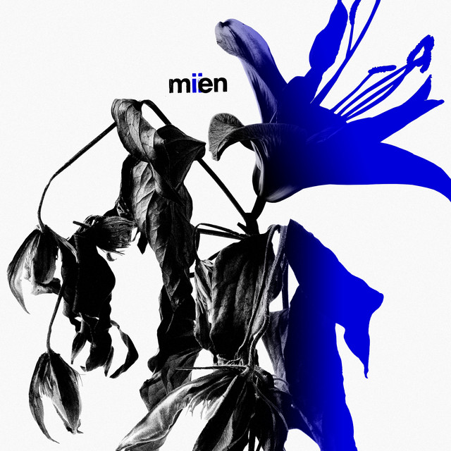 MIIEN album cover