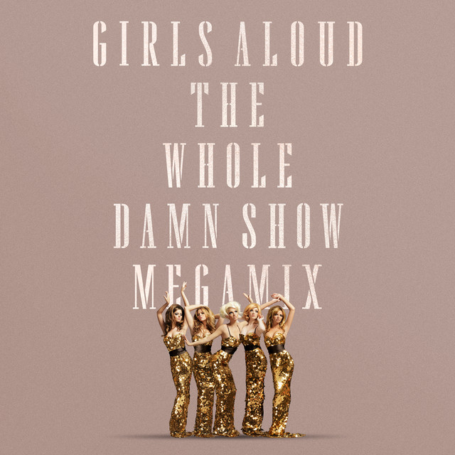 The Whole Damn Show Megamix album cover