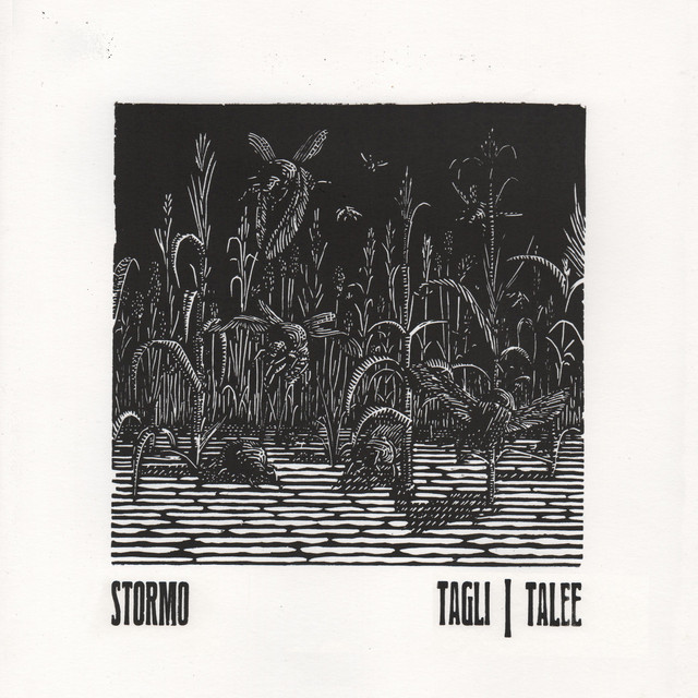 Tagli/Talee album cover