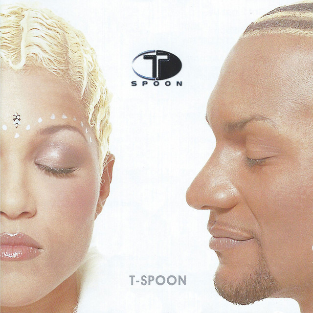 T-Spoon album cover
