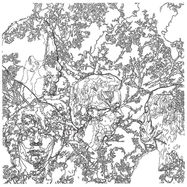 To Everybody album cover