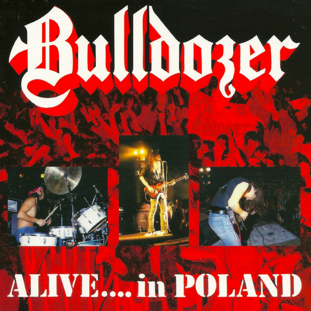 Alive in Poland 1989 (Live) album cover