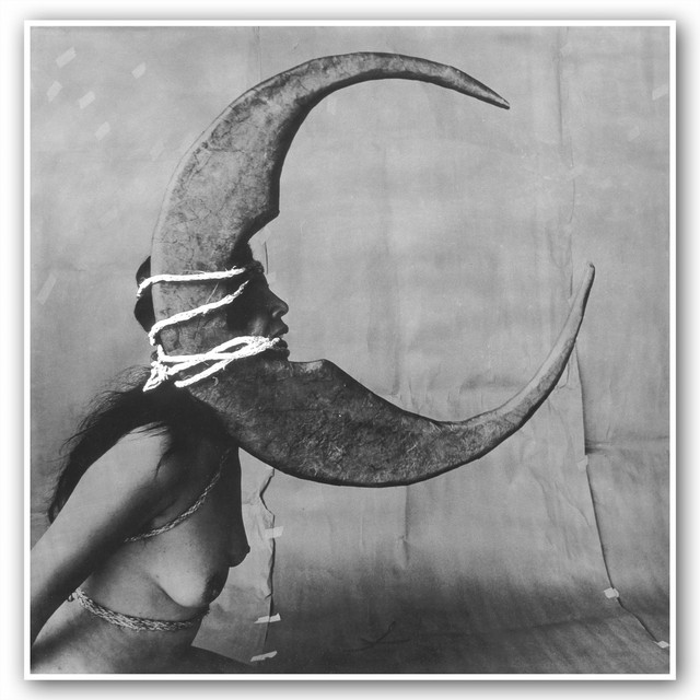 Moonlover album cover