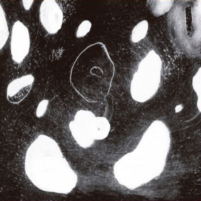 Seele Brennt album cover
