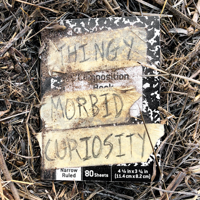 Morbid Curiosity album cover