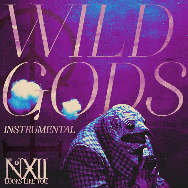 Wild Gods (Instrumental) album cover