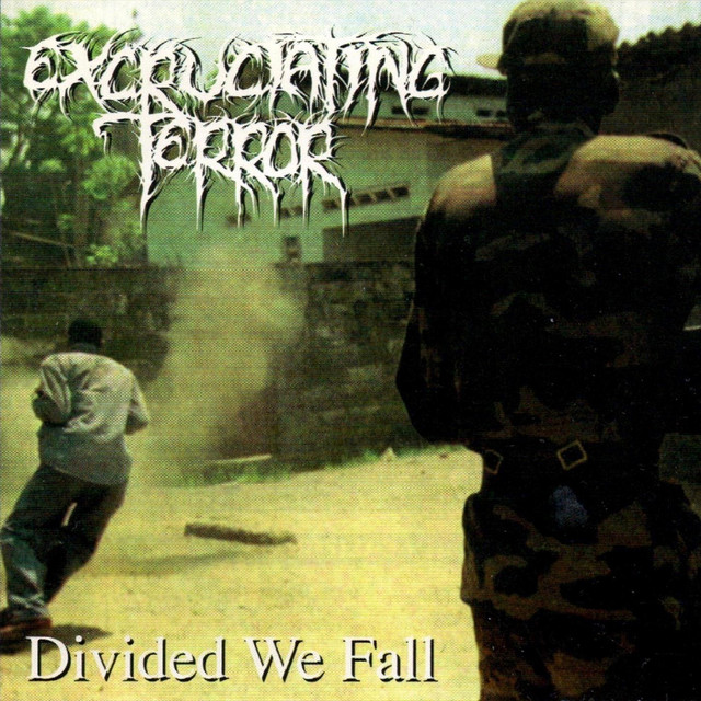 Divided We Fall album cover