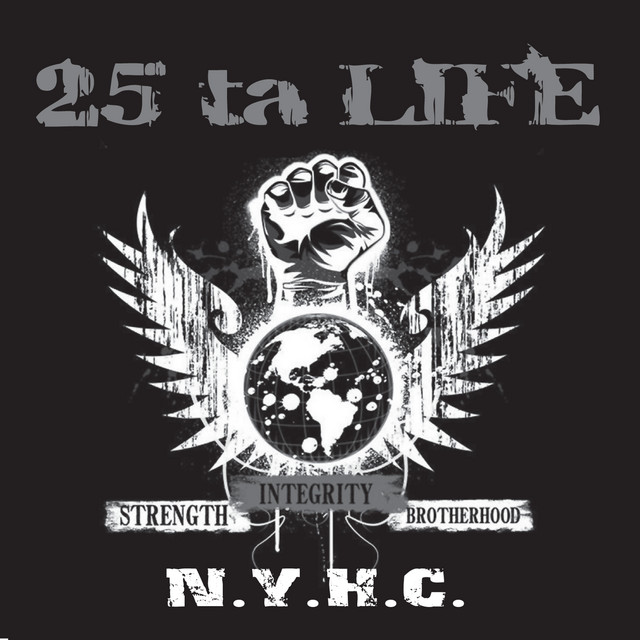 Strength Integrity Brotherhood album cover