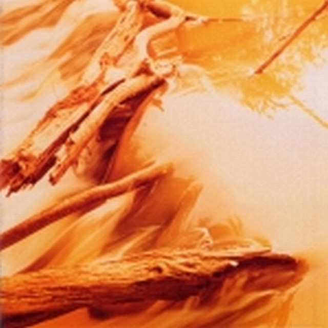 Depths album cover
