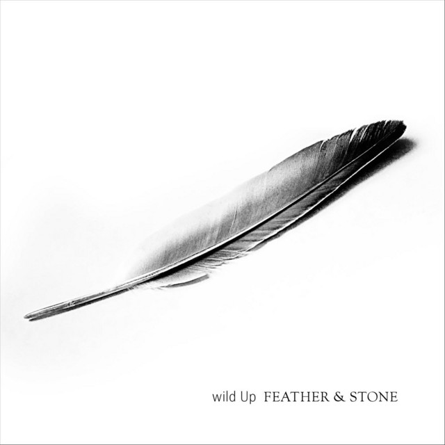 Feather & Stone album cover