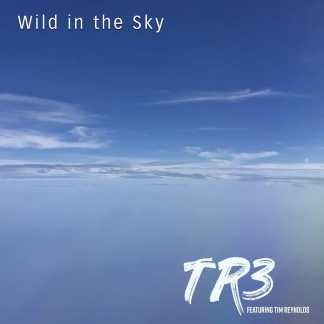 Wild in the Sky album cover