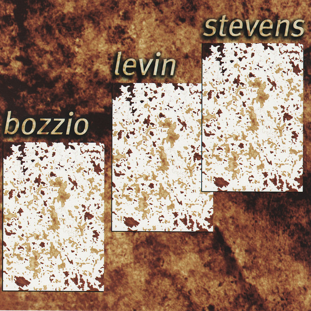 Guild Ashbory Bass as heard on Situation Dangerous by Bozzio Levin Stevens (2000)