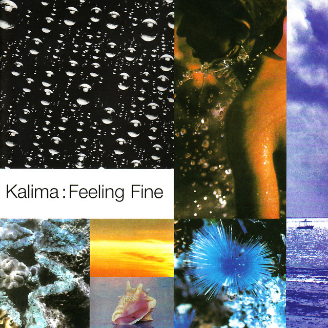 Feeling Fine album cover