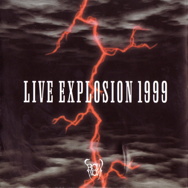 LIVE EXPLOSION 1999 album cover