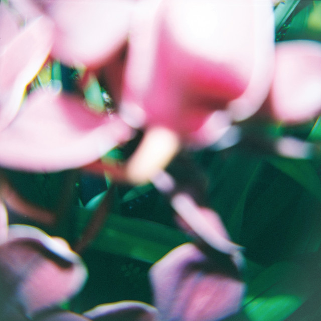 You Make Everything Disappear album cover