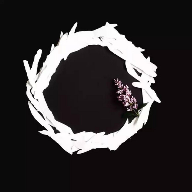 Circle Thinking album cover