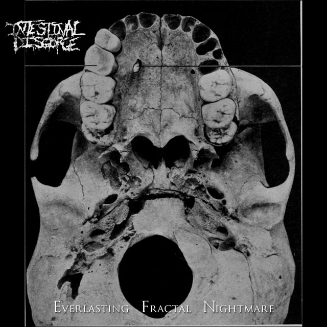 Everlasting Fractal Nightmare album cover