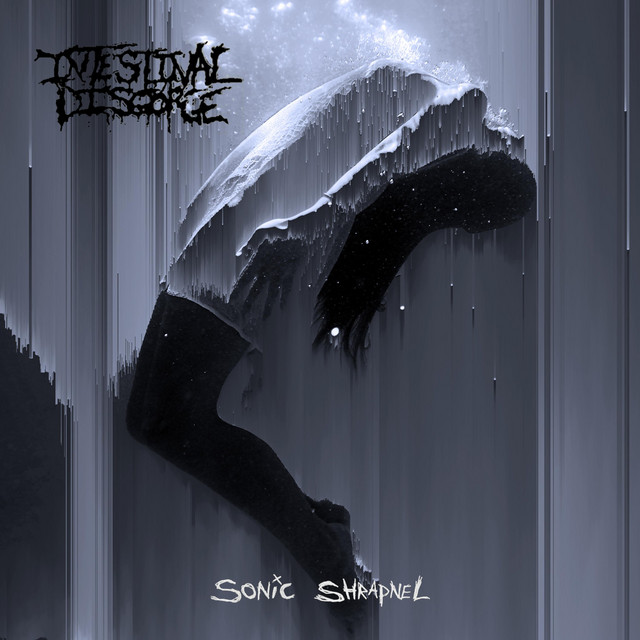Sonic Shrapnel album cover