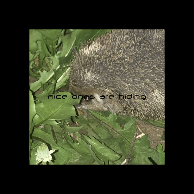 Nice Ones Are Hiding album cover