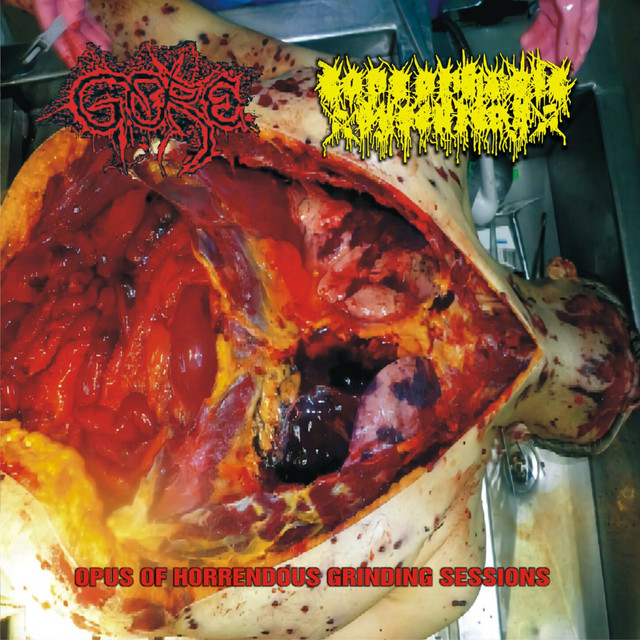 Opus Of Horrendous Grinding Sessions album cover