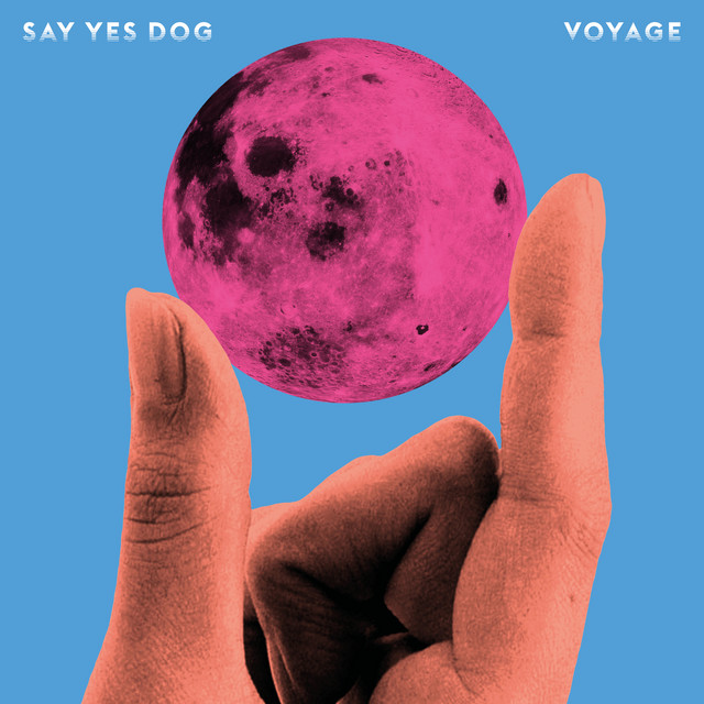 Voyage album cover