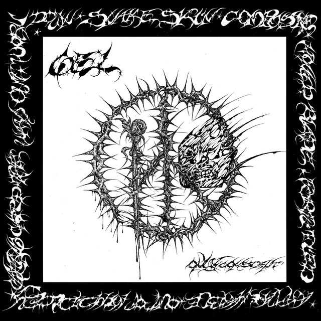 Only Constant album cover