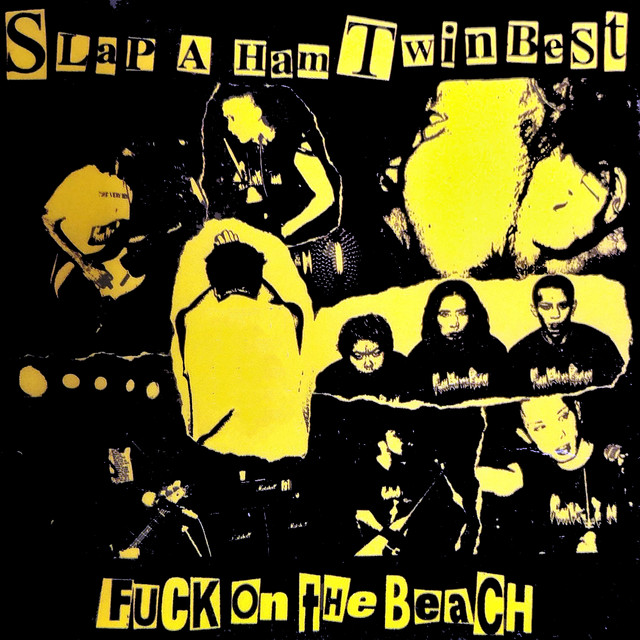 Slap a Ham Twin Best album cover