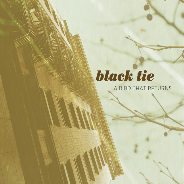 A Bird That Returns album cover