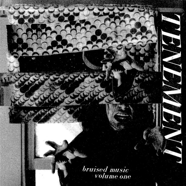 Bruised Music, Vol. 1 album cover