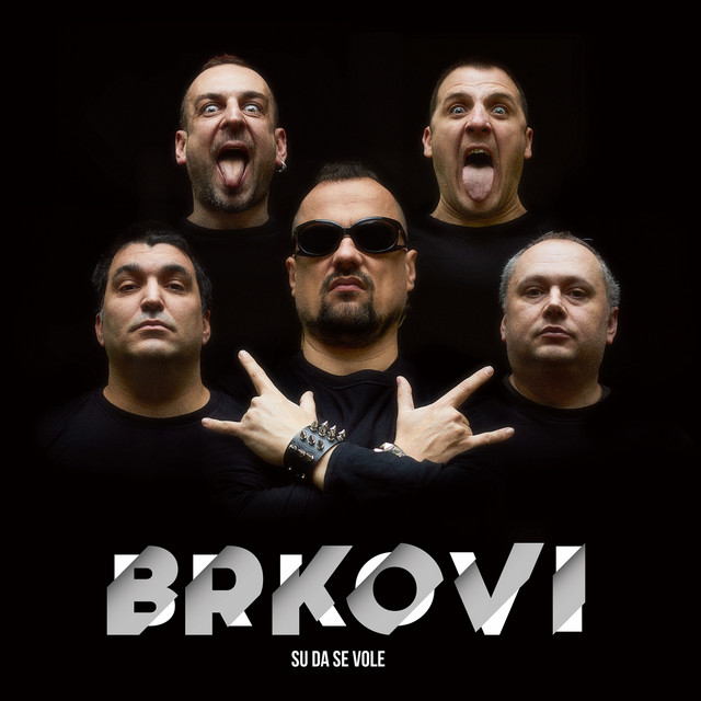 Brkovi su da se vole album cover