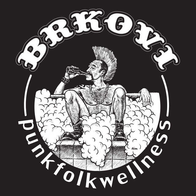 PunkFolkWellness album cover