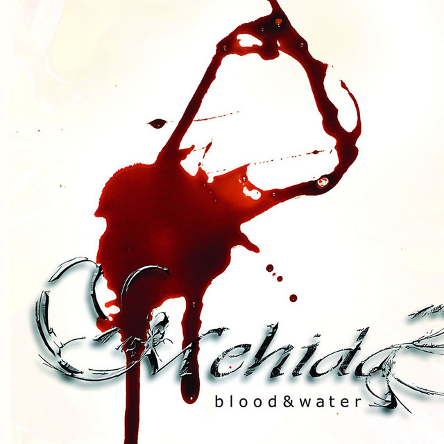 Blood & Water album cover