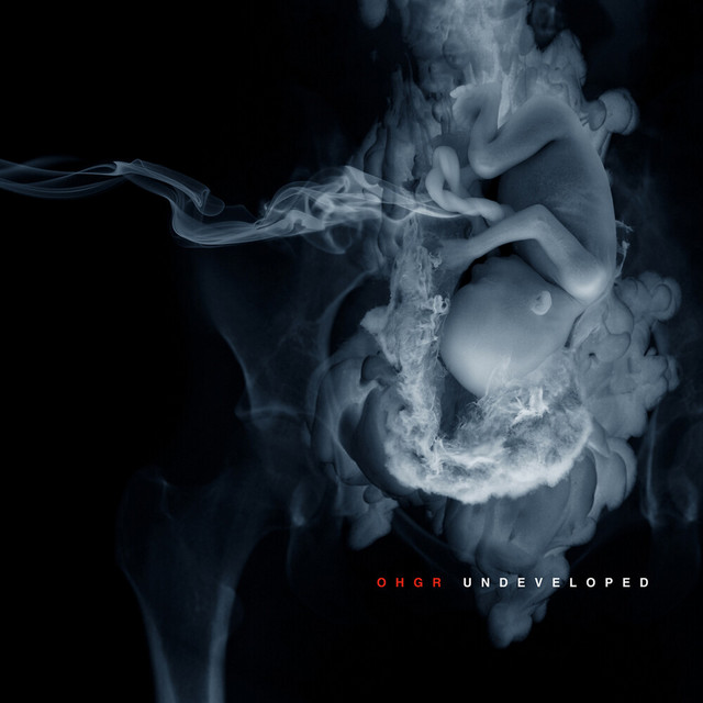 Undeveloped album cover