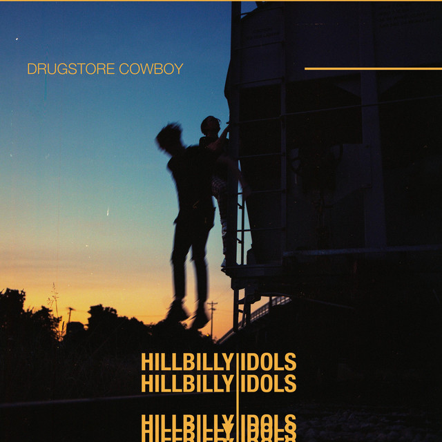 Hillbilly Idols album cover