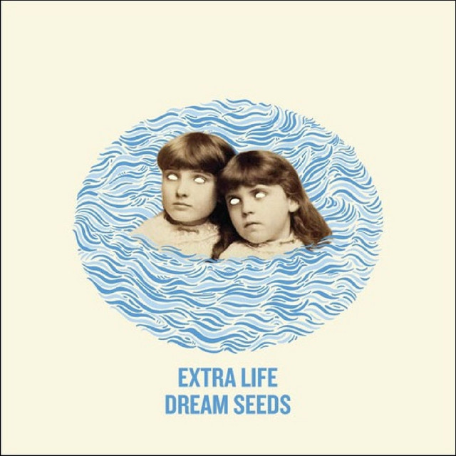 Dream Seeds album cover