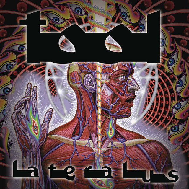Boss BF-2 Flanger as heard on Lateralus by Tool (2001)