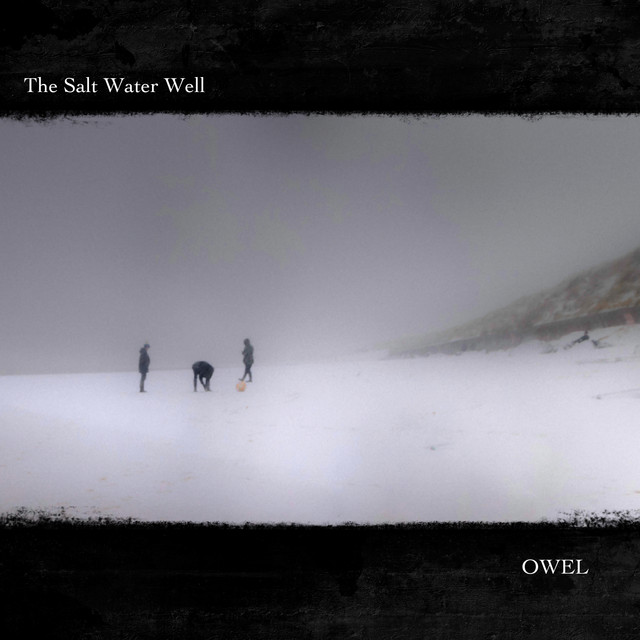 The Salt Water Well album cover