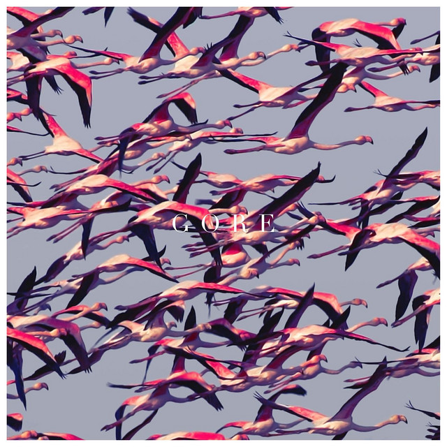 Gore album cover