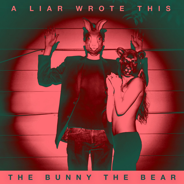 A Liar Wrote This album cover
