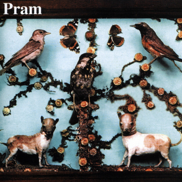 The Museum Of Imaginary Animals album cover