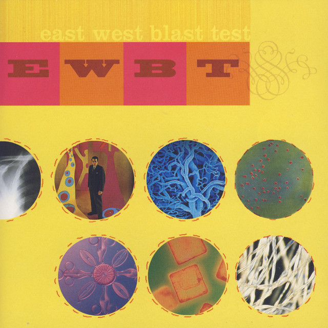 Popular Music for Unpopular People album cover
