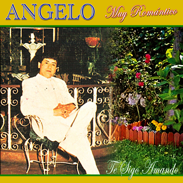 Muy Romántico Te Sigo Amando album cover